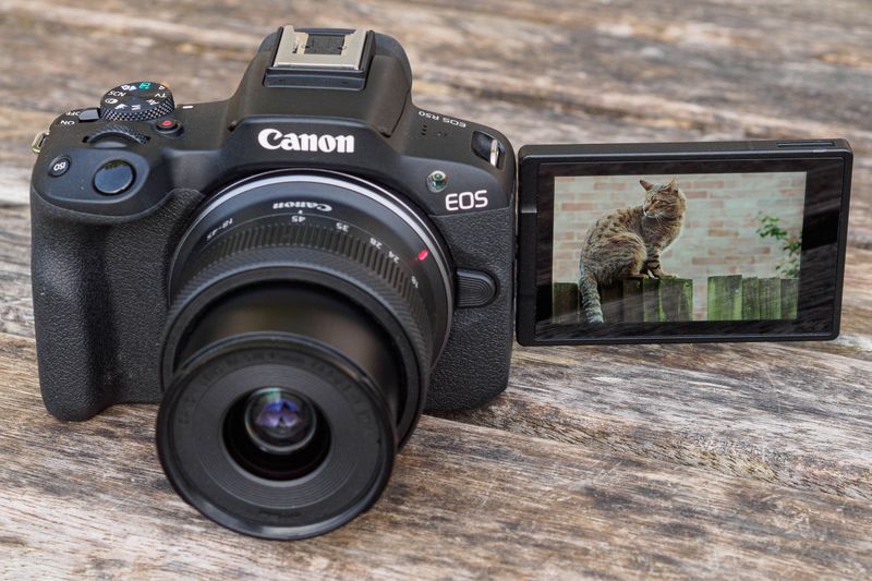 Canon EOS R50