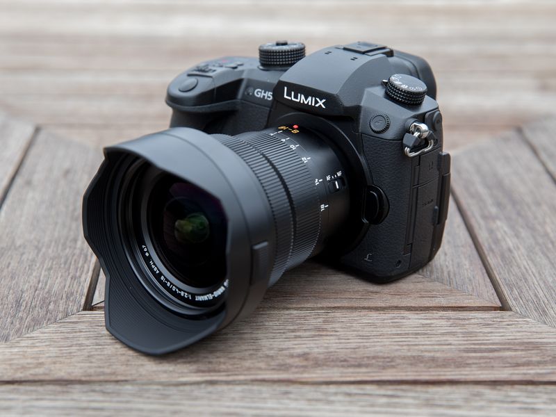 Panasonic Leica DG Vario-Elmarit 8-18mm F2.8-4.0