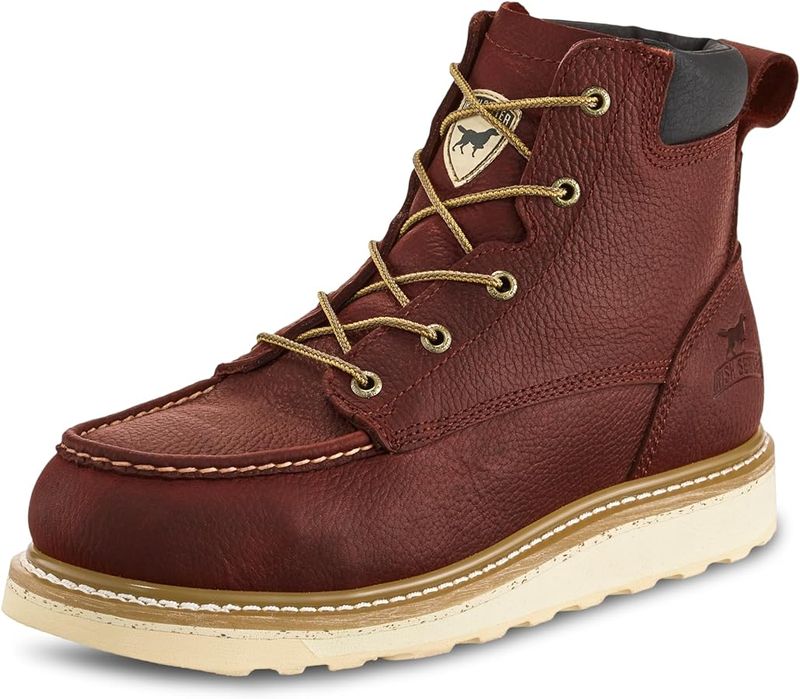 Irish Setter Ashby 6