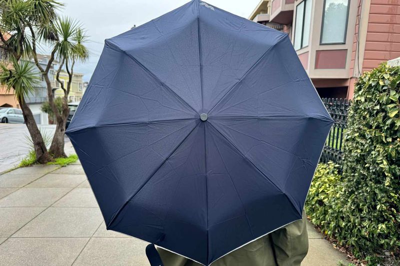 Windproof Travel Umbrella