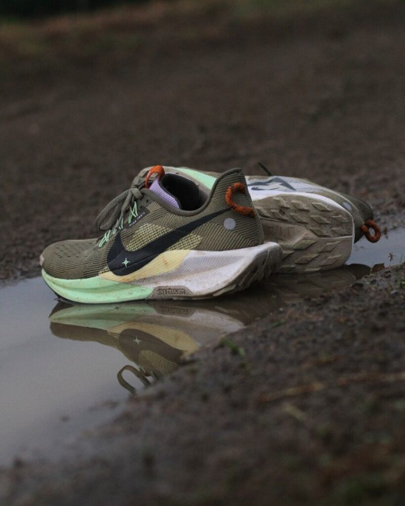 Nike Pegasus Trail 5 GTX