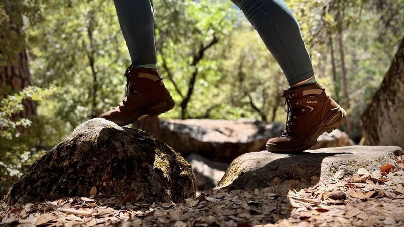 LOWA Renegade EVO GTX Mid Winter Boot