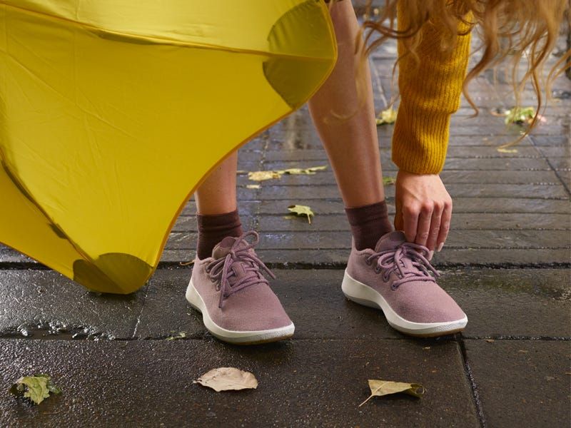 Allbirds Mizzle Runner-Up
