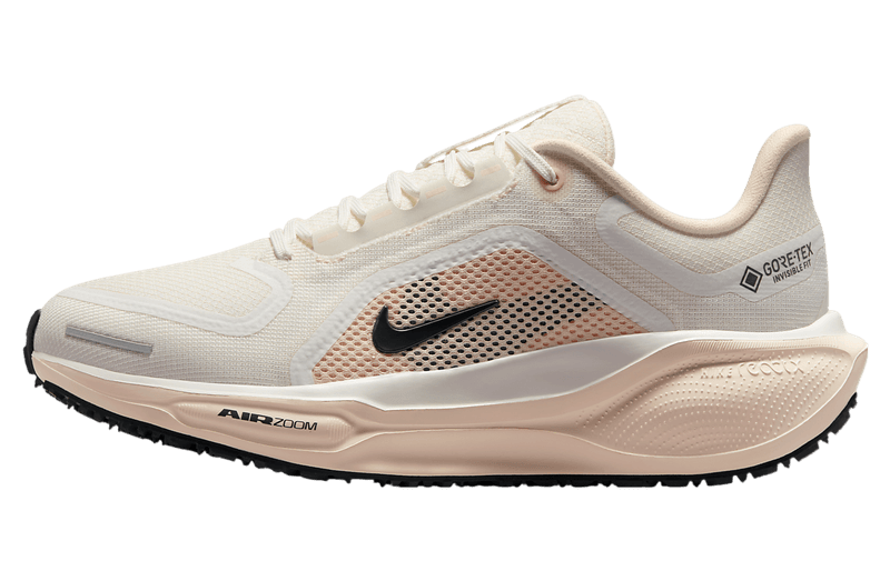 Nike Pegasus 41 GTX