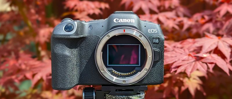Canon EOS R8
