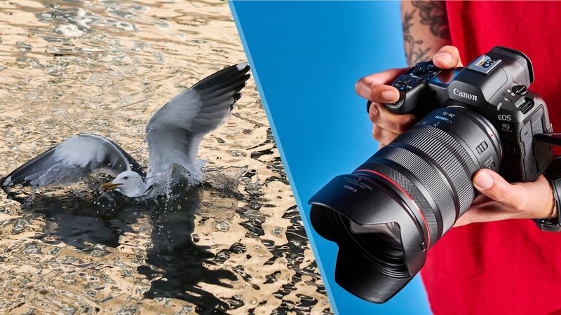 Canon EOS R5 Mark II (Mirrorless)