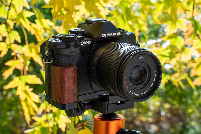 Olympus OM-D E-M10 Mark IV