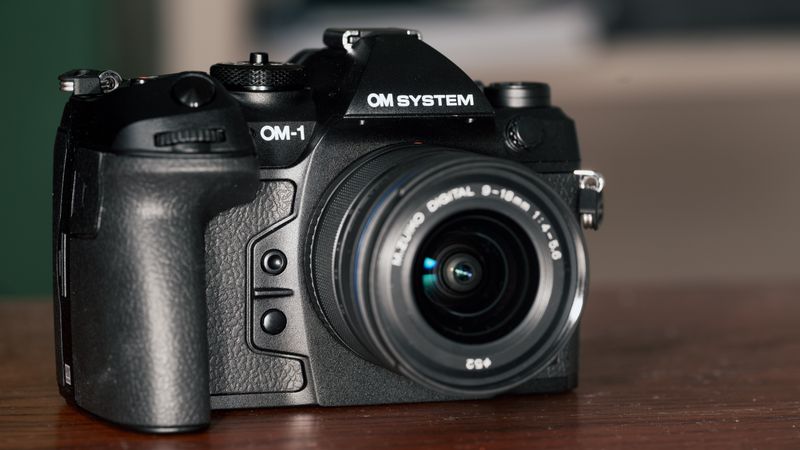 OM System OM-1 Mark II with M.Zuiko 40-150mm f2.8 PRO