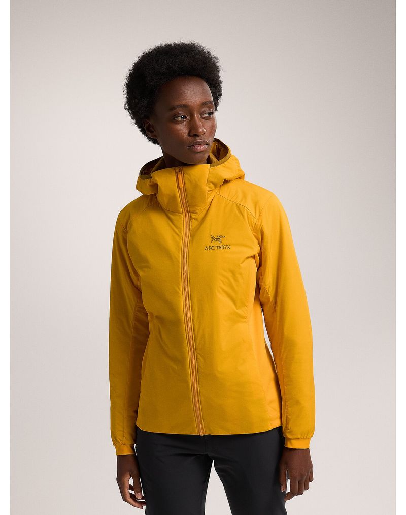 Arc'teryx Atom LT Hoody