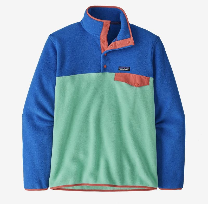 Patagonia Lightweight Synchilla Snap-T Fleece