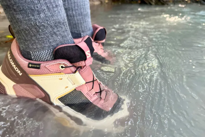 Salomon X Ultra 5 GTX
