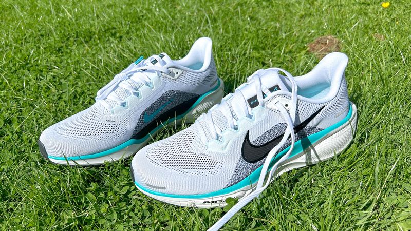 Nike Pegasus 41 (incl. GTX version): Daily Trainer Turned Urban Workhorse