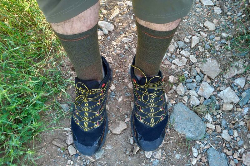 Smartwool Performance Hike Light Cushion Crew