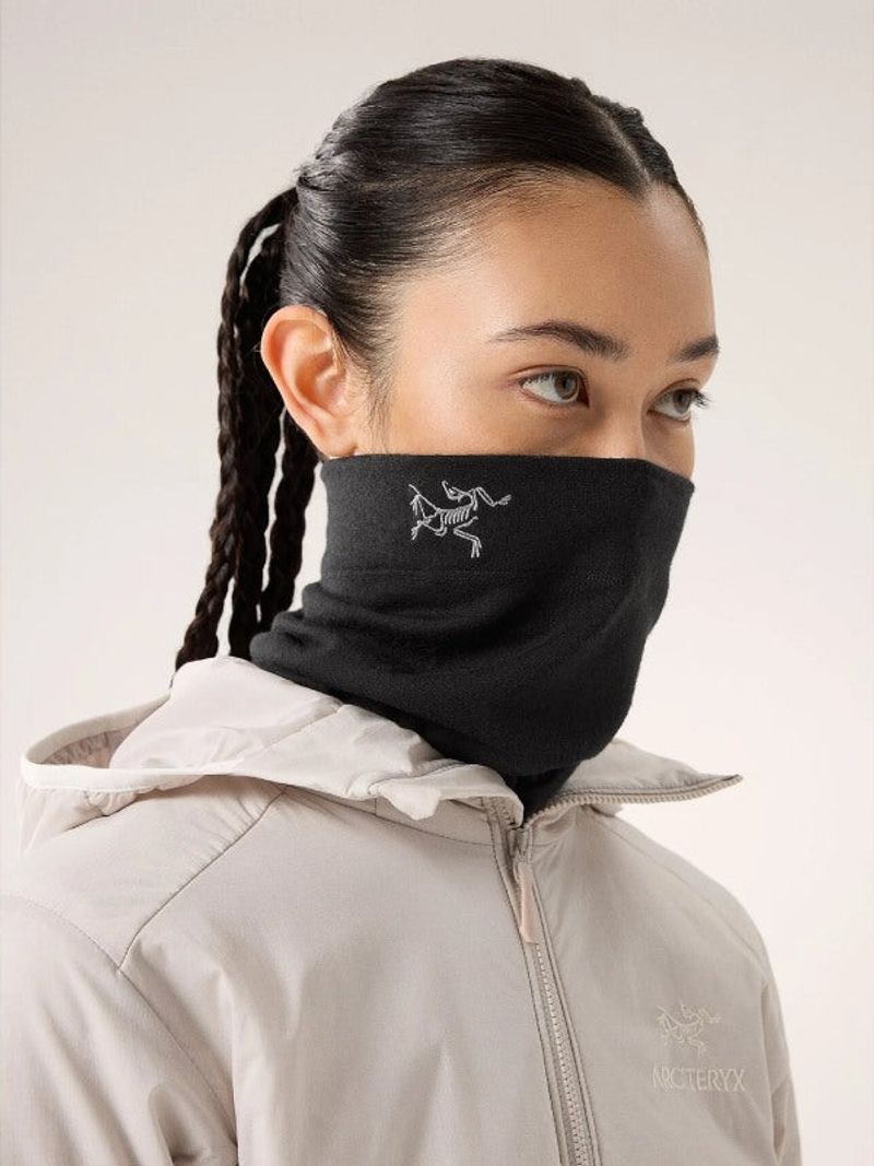 Arc'teryx Rho LTW Neck Gaiter