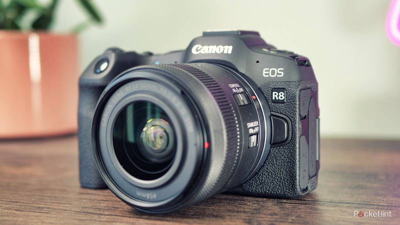 Canon EOS R8 (Full Frame Mirrorless)