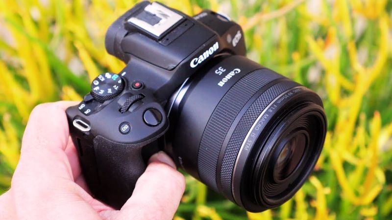 Canon EOS R8 with RF 35mm f/1.8