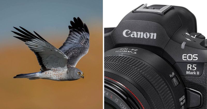 Canon EOS R5 Mark II
