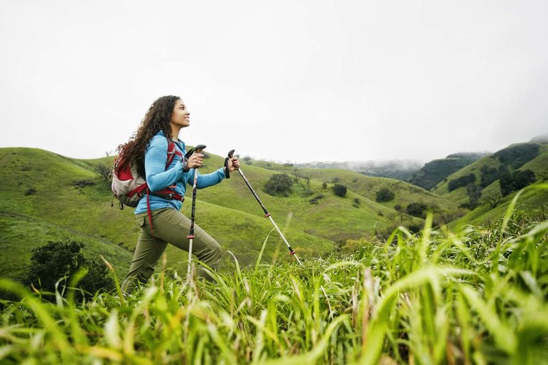 Trekking Poles