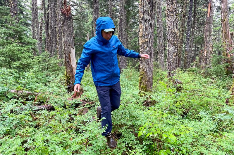 Patagonia Torrentshell 3L Waterproof Jacket