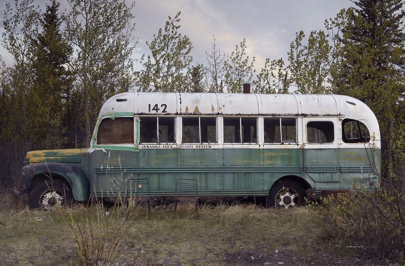 Into the Wild by Jon Krakauer