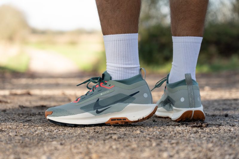 Nike Pegasus Trail 5 GORE-TEX