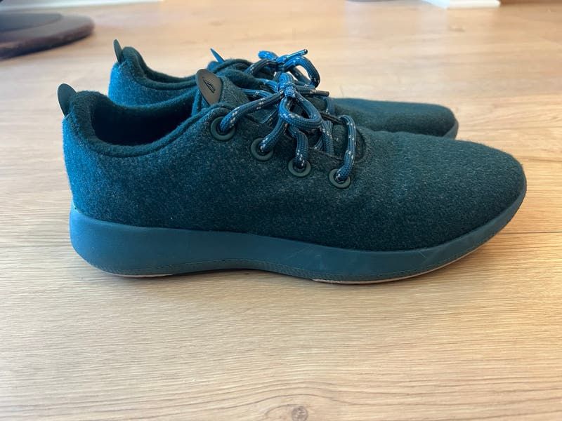 Allbirds Wool Runners Mizzles