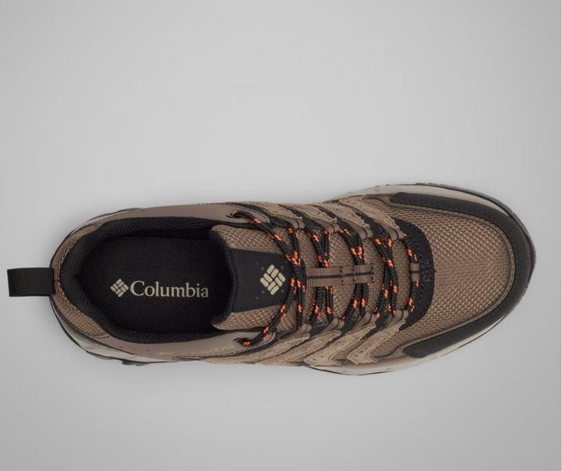 Comfort and Fit — All-Day Ease