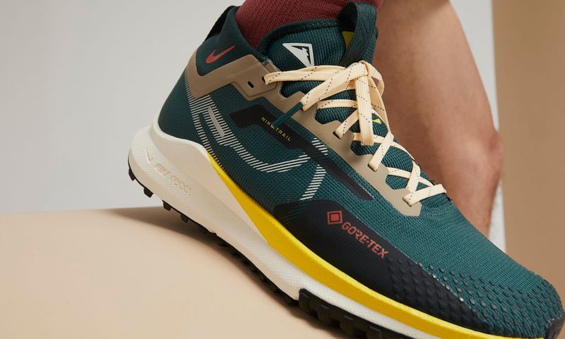 Nike Pegasus Trail 4 Gore-Tex