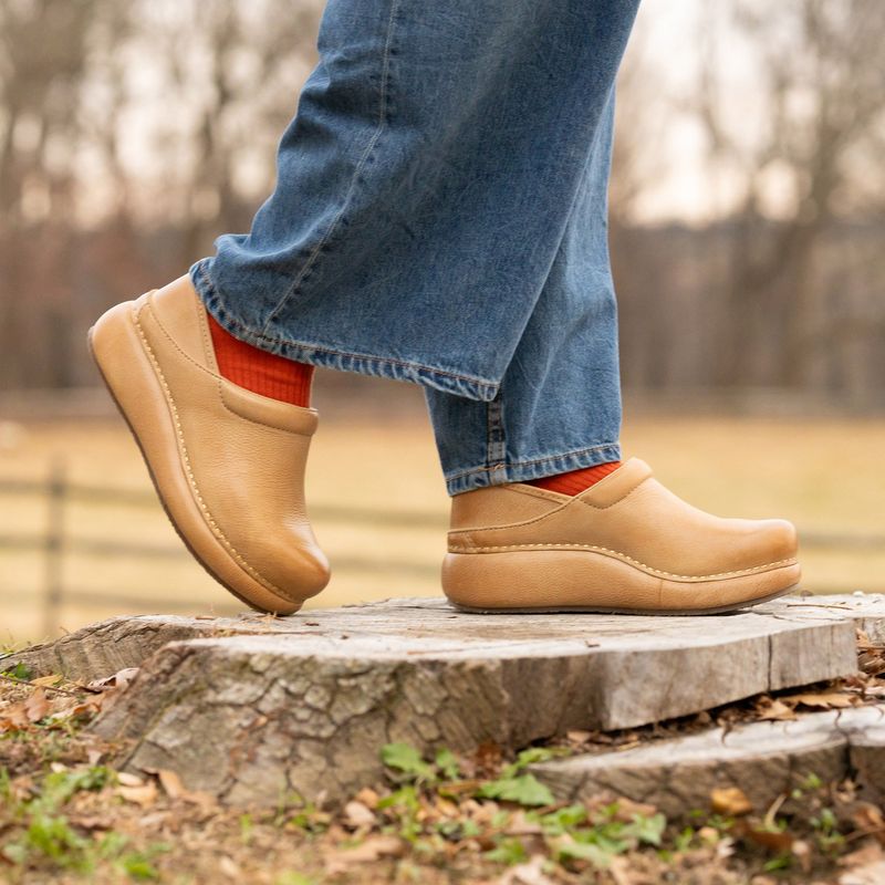 Dansko Professional Clog (Workhorse all-day clog)