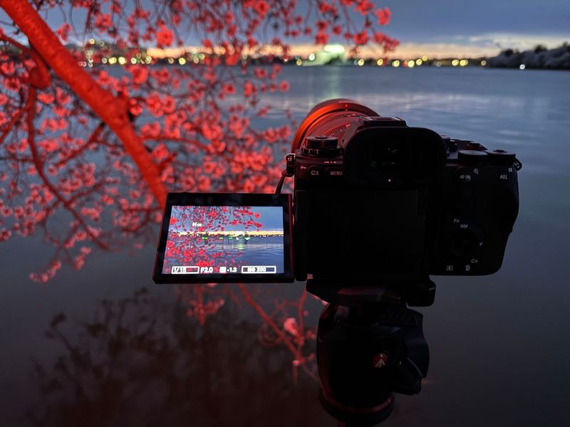 Sony α1 II