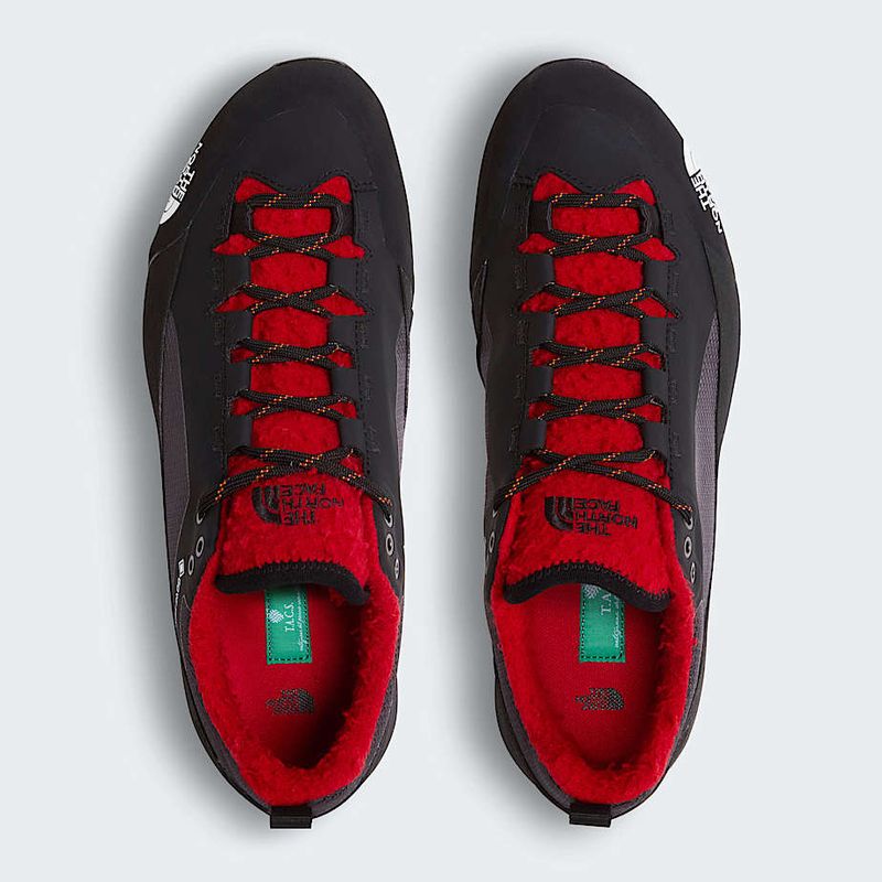 Elevated Classics in the Casentino Pack