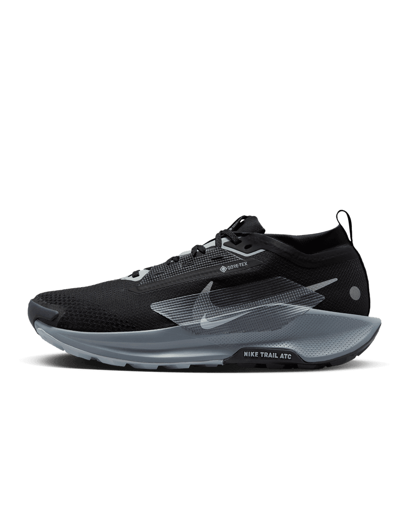 Nike Pegasus Trail 5 GTX