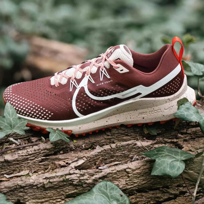 Nike Pegasus Trail 4