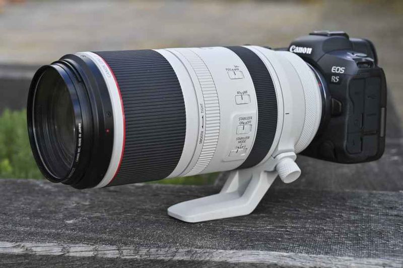 Canon RF 100–500mm F4.5–7.1 L IS USM (Canon RF)