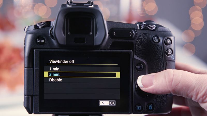 Canon EOS R Series (R8 or R7) - Best for Versatility & Value