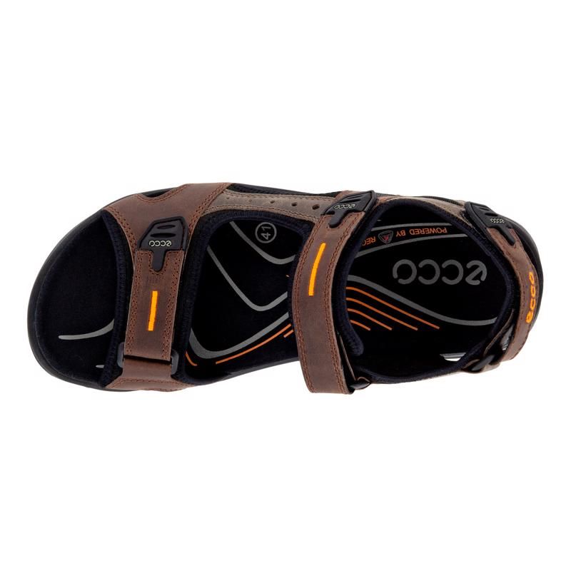ECCO Yucatan Outdoor Sandal