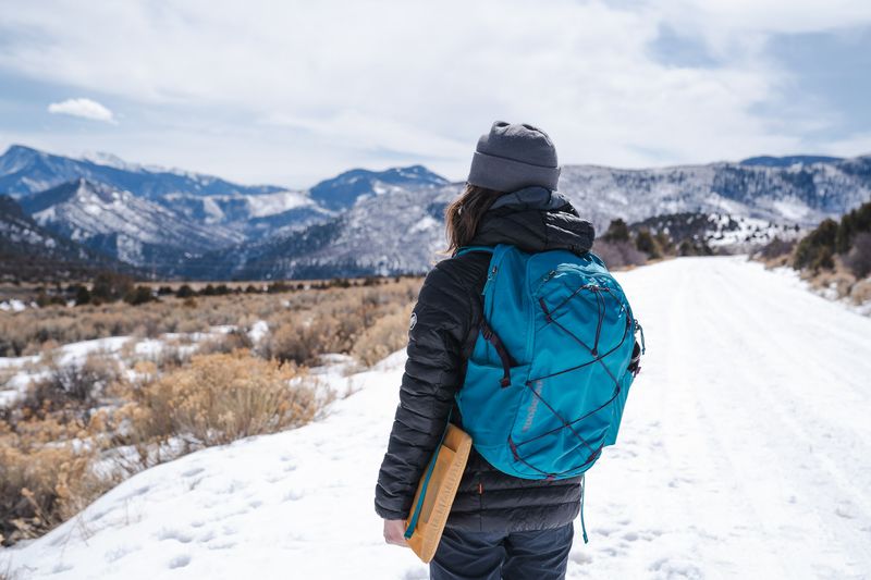 Patagonia Refugio Daypack 30L