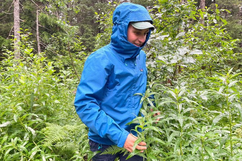 Patagonia Torrentshell 3L