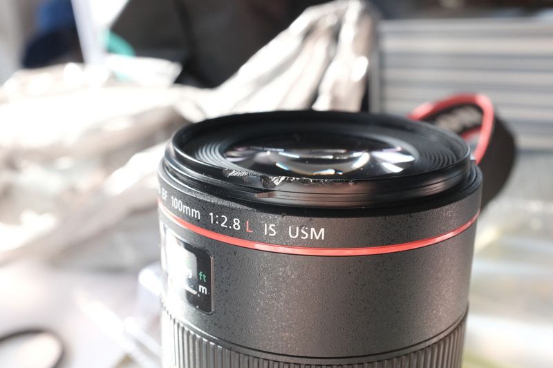 Canon RF 100mm f/2.8L Macro IS USM