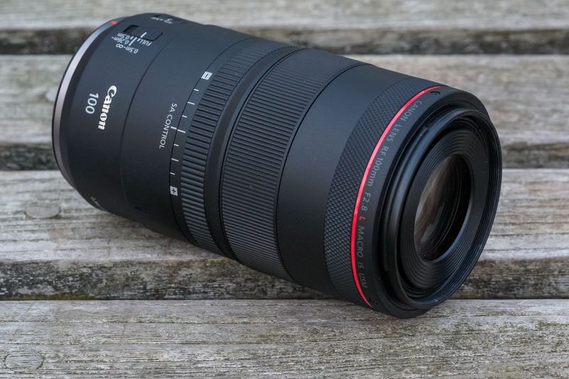 Canon RF 100mm F2.8 L Macro IS USM (Canon RF)