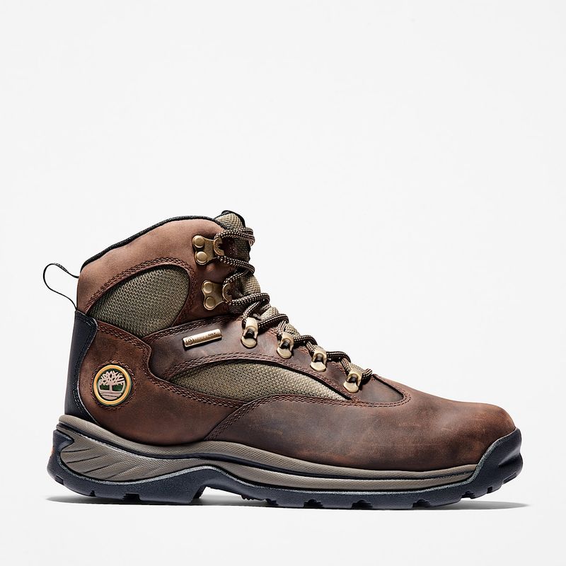 Timberland Men’s Chocorua Waterproof Hiking Boot