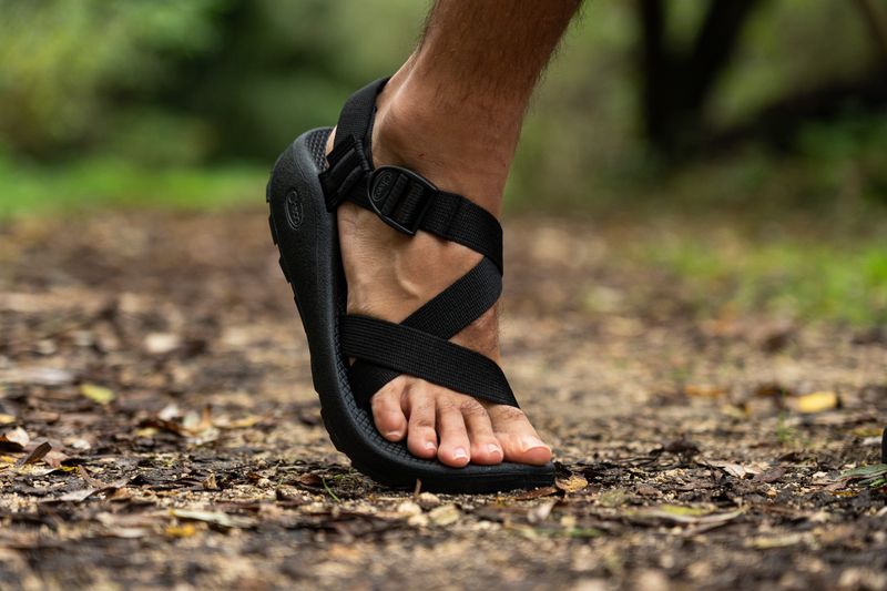 Chaco Z/Cloud Sandal