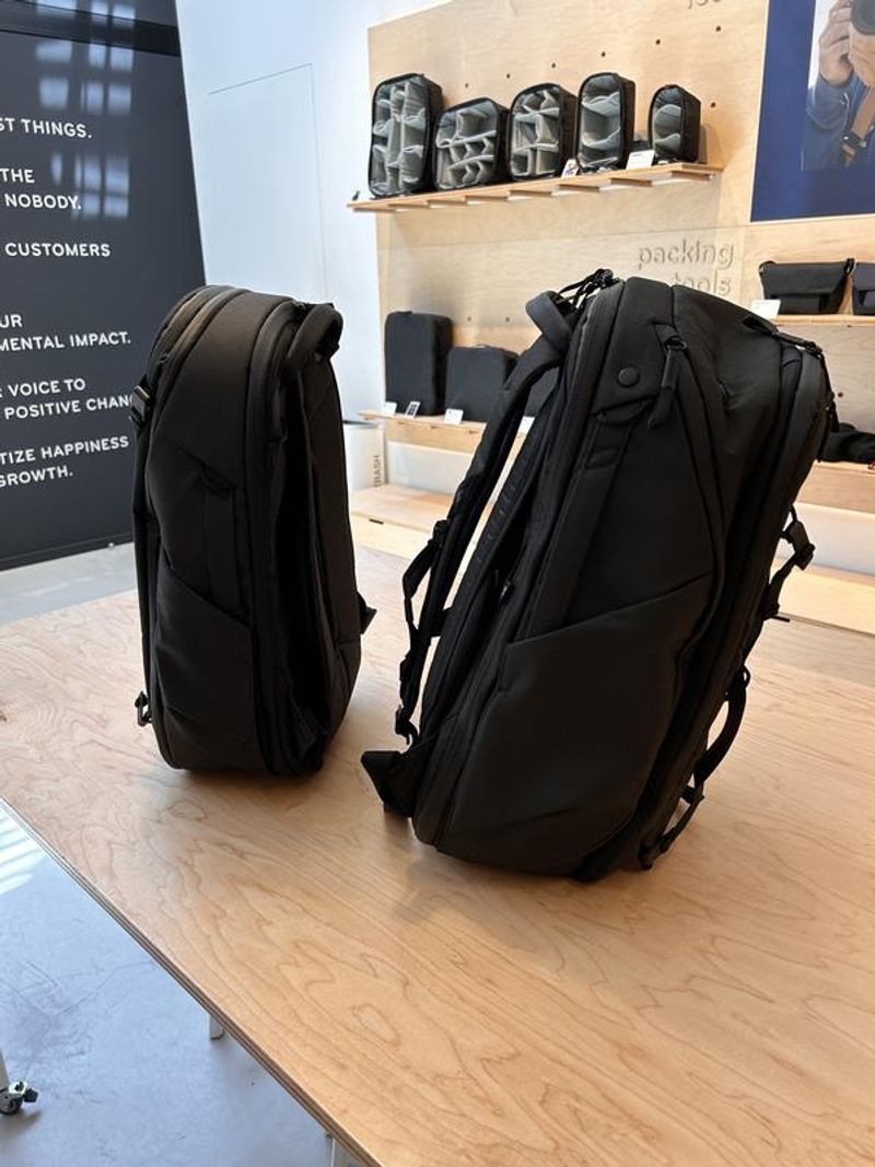 Peak Design Travel Backpack (45L)