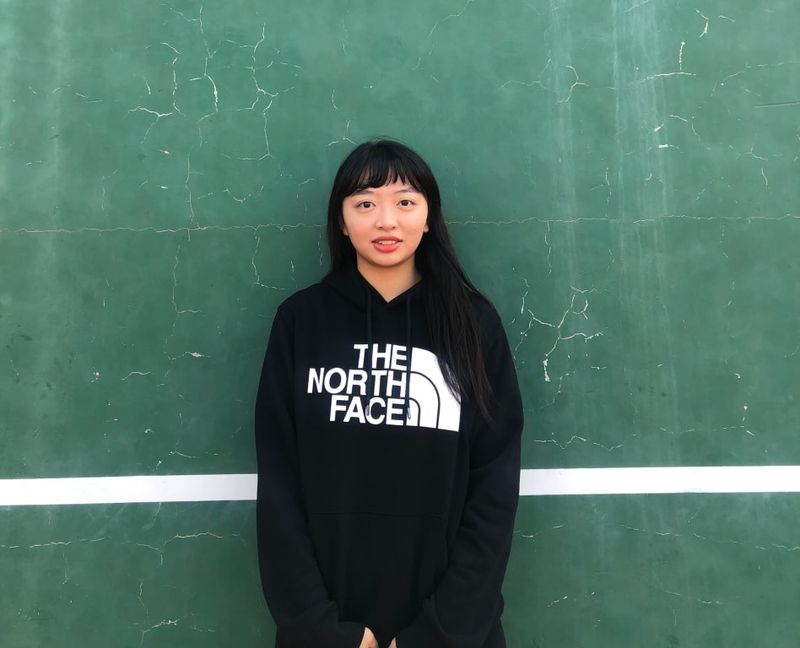 The North Face Half Dome Hoodie