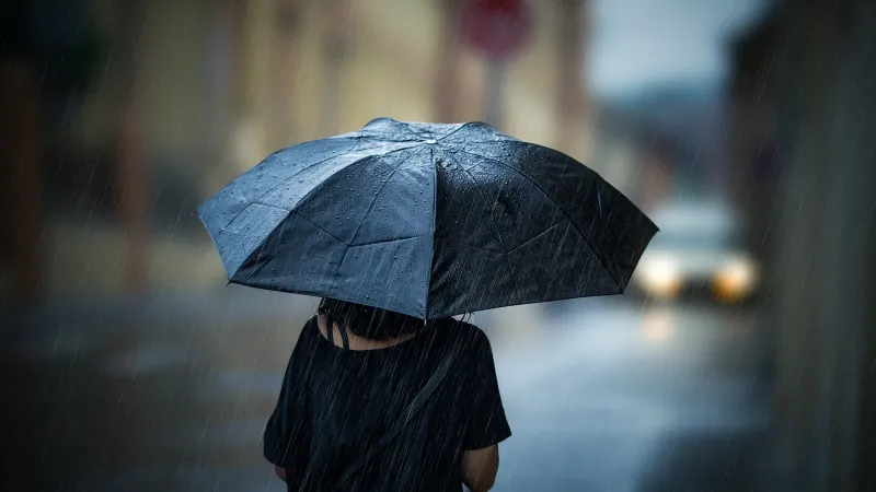 Compact Travel Umbrella