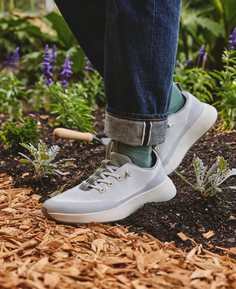 Allbirds Tree Runners – The Surprise Winner