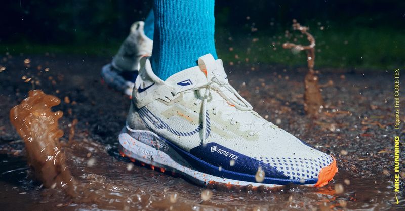 Nike Pegasus Trail 4 GTX