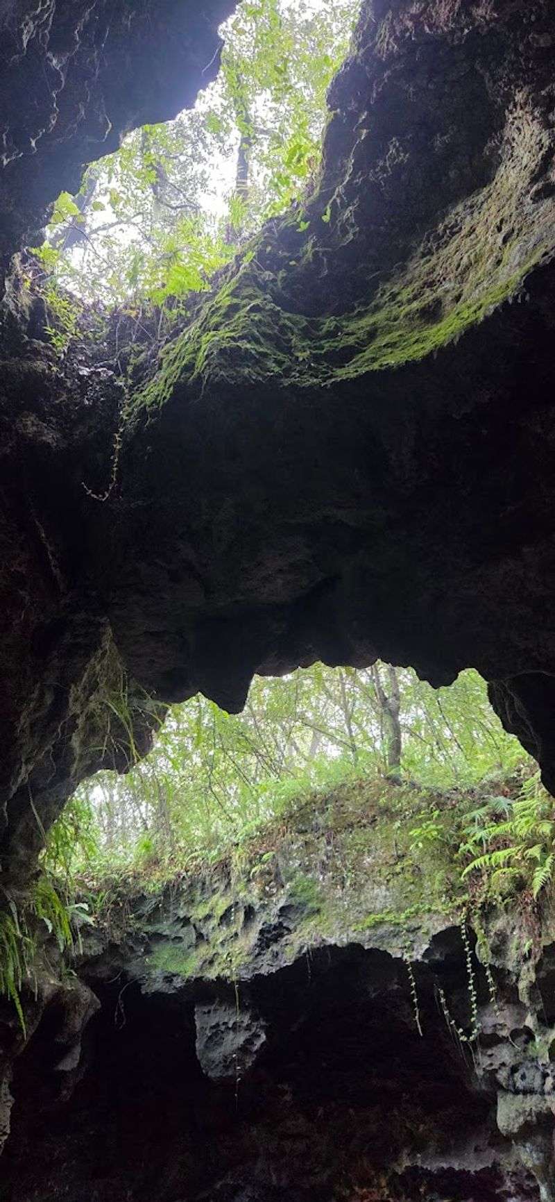 Why families and casual hikers enjoy this spot