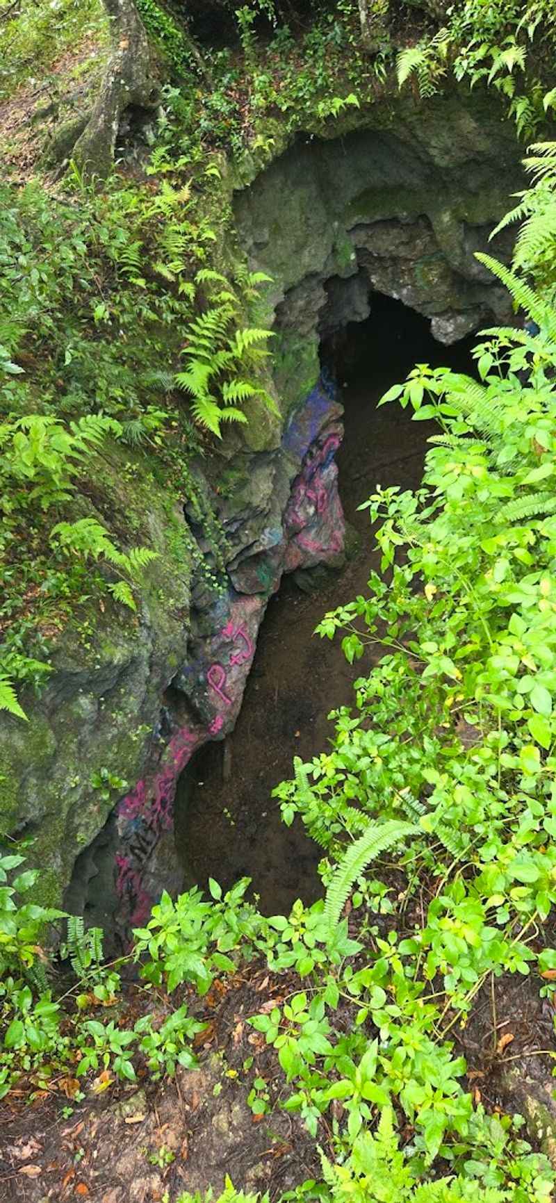 Why Dames Cave is worth adding to your Florida list