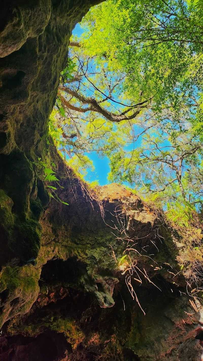 The scenery beyond the cave entrances